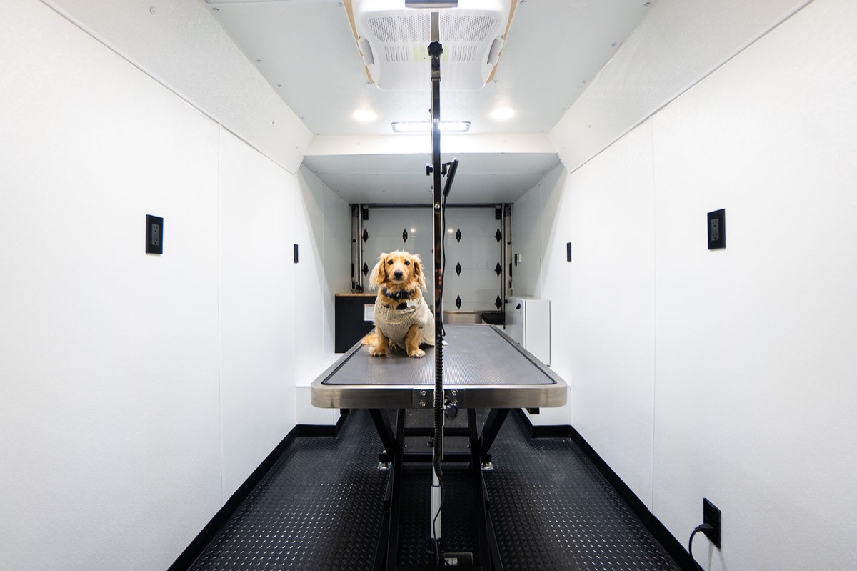 A Paws-itively Electric Ride: Our New Dry Pet Grooming Van!