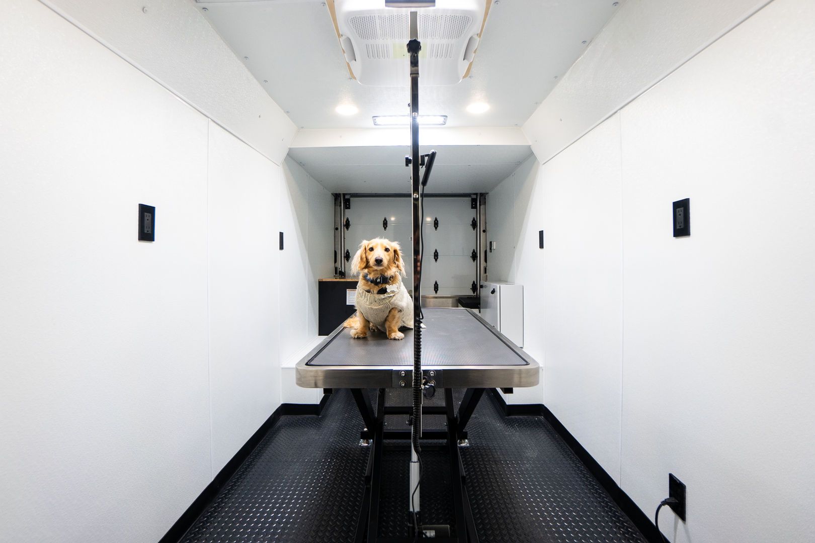 // HYDRAULIC GROOMING TABLE